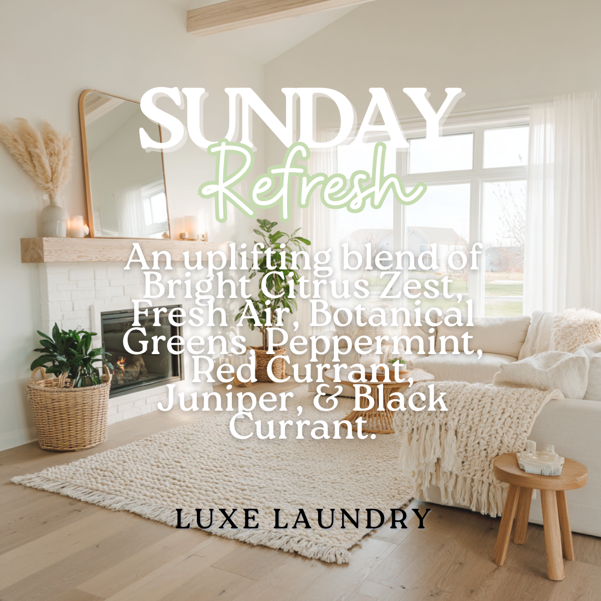 Luxe Laundry Detergent, Highly Fragrant Laundry Wash 17 oz.