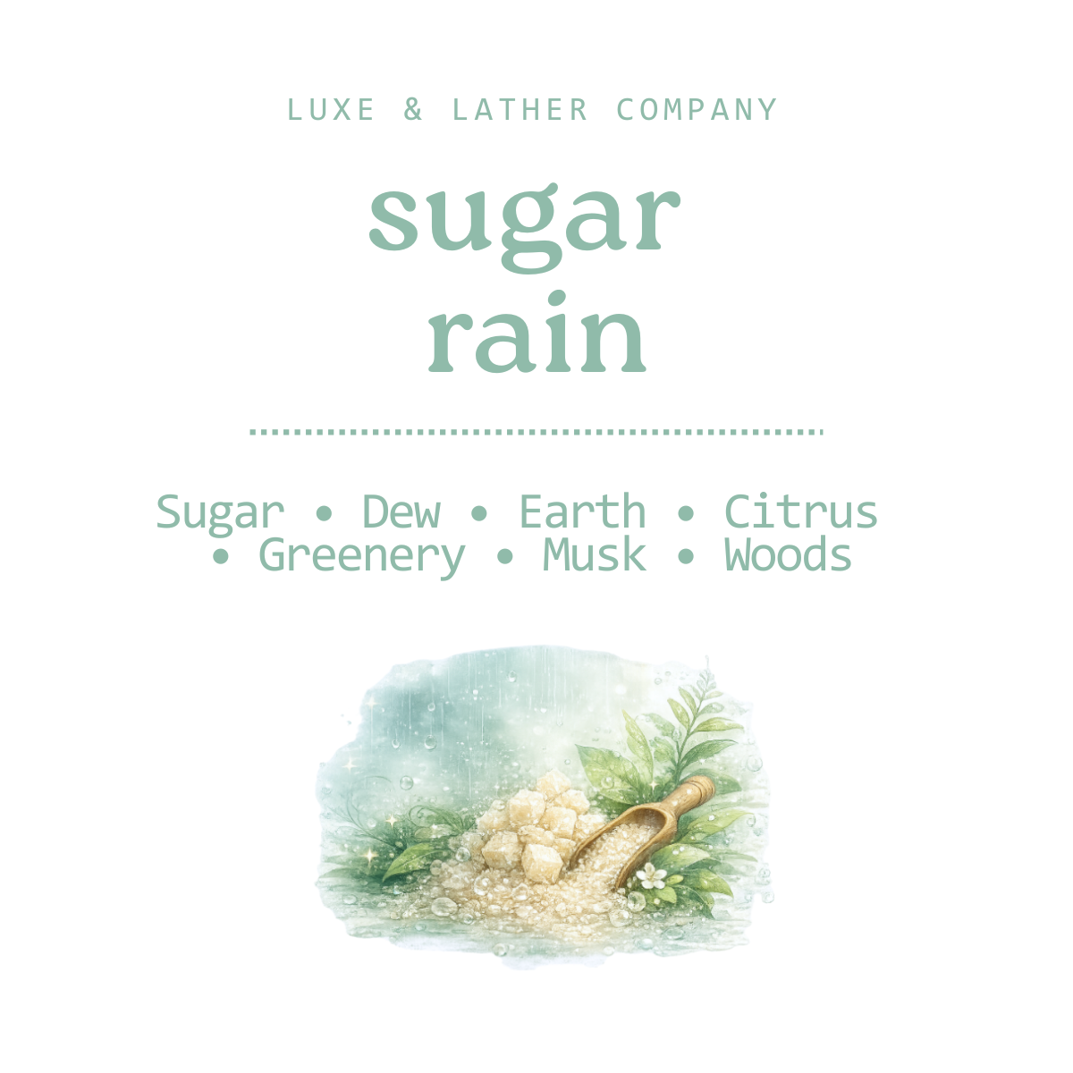 Whipped Creamy Soap, NEW FALL SCENTS, Scent Variety