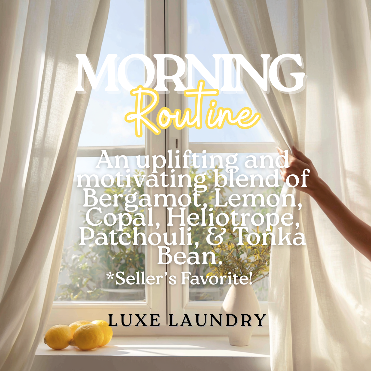 Luxe Laundry Detergent, Highly Fragrant Laundry Wash 17 oz.
