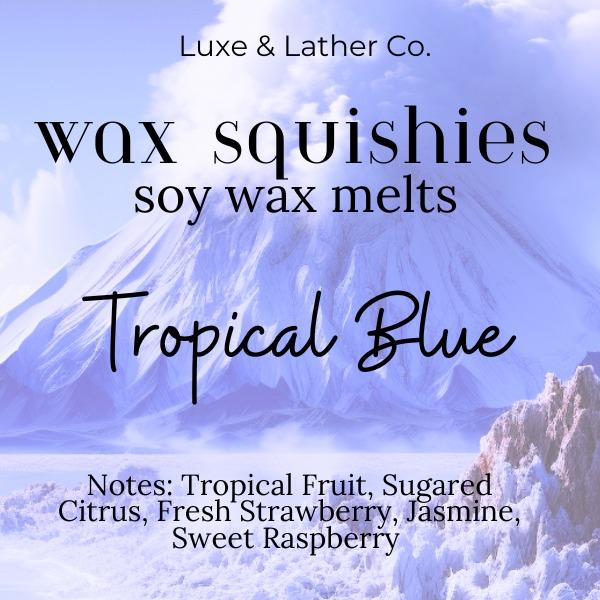 SALE! Wax Squishies 40% OFF - 7.5 oz Variety of Scents! Squeezable Wax Melts