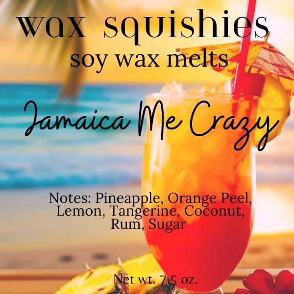 SALE! Wax Squishies 40% OFF - 7.5 oz Variety of Scents! Squeezable Wax Melts