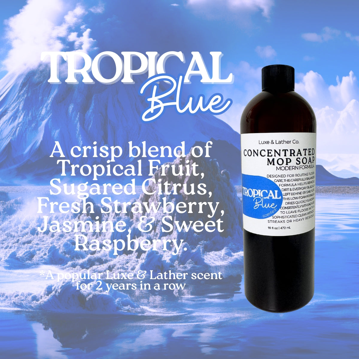 Luxe Mop Soap Floor Cleaner Concentrated Solution Scent Variety Low-Foam Quick-Drying Formula for Everyday Use